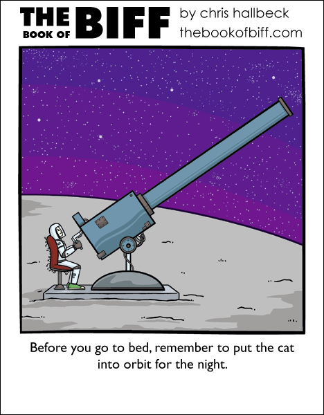 #1049 – Revolve