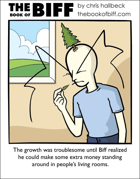 #1180 – Conifer